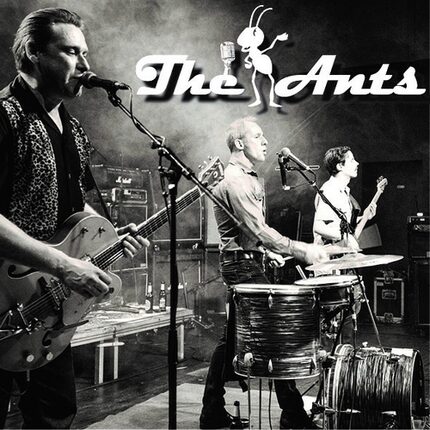 The Ants